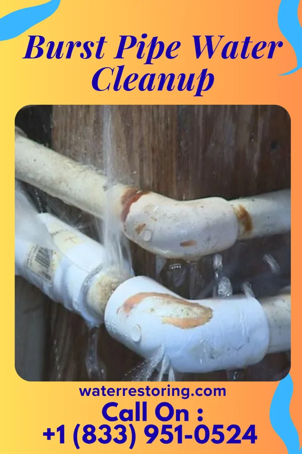Burst Pipe Water Cleanup in Salem, VA