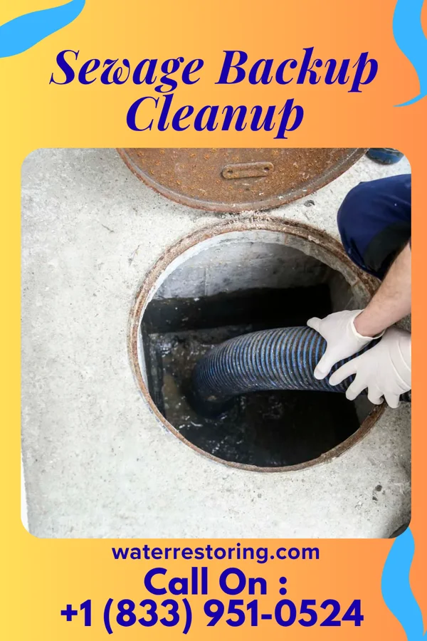 Sewage Backup Cleanup in Salem, VA