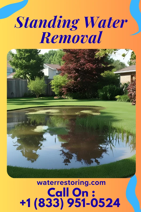 Standing Water Removal in Salem, VA